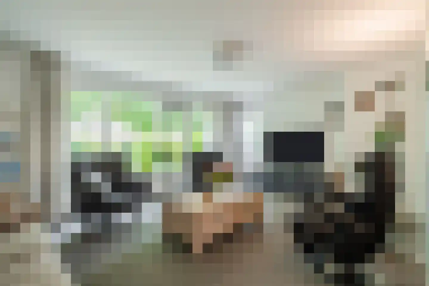Kempenaar 29 Wijk bij Duurstede thumbnail 5