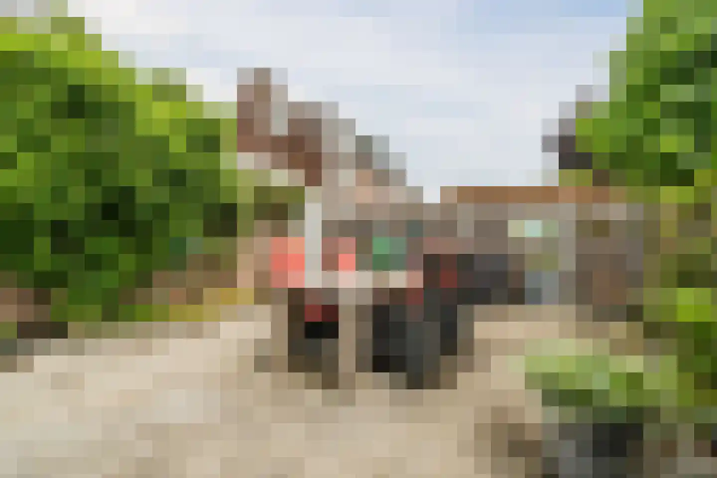 Kempenaar 29 Wijk bij Duurstede thumbnail 51