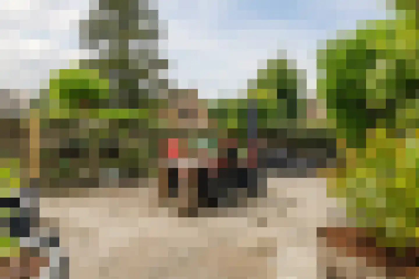 Kempenaar 29 Wijk bij Duurstede thumbnail 55