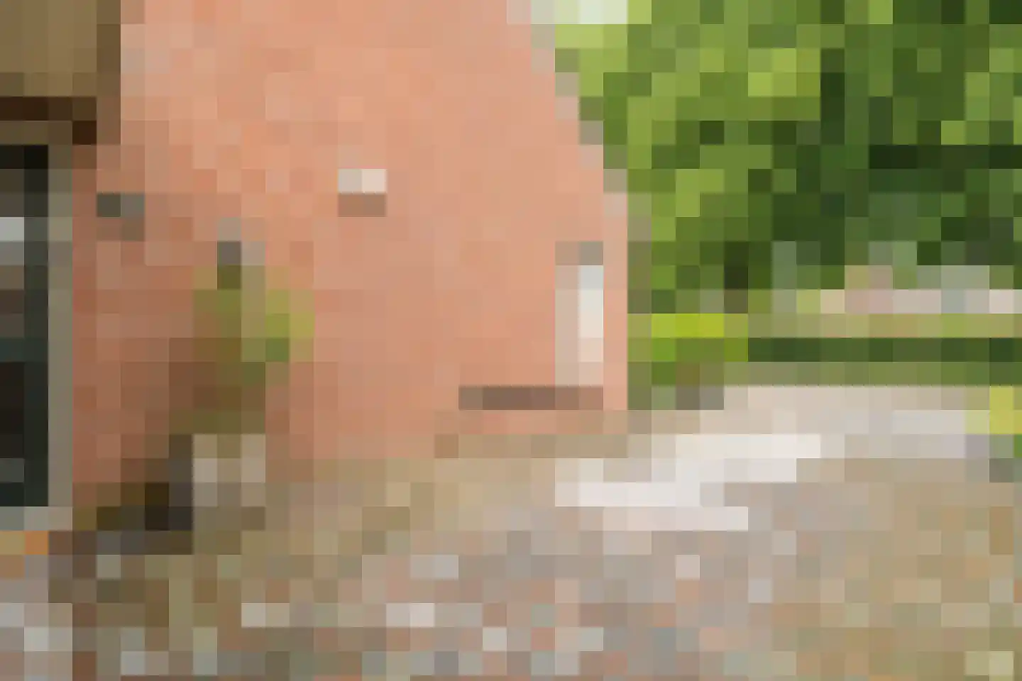 Kempenaar 29 Wijk bij Duurstede thumbnail 59