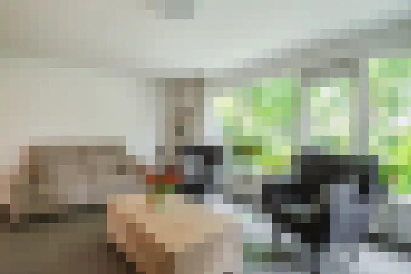 Kempenaar 29 Wijk bij Duurstede thumbnail 6