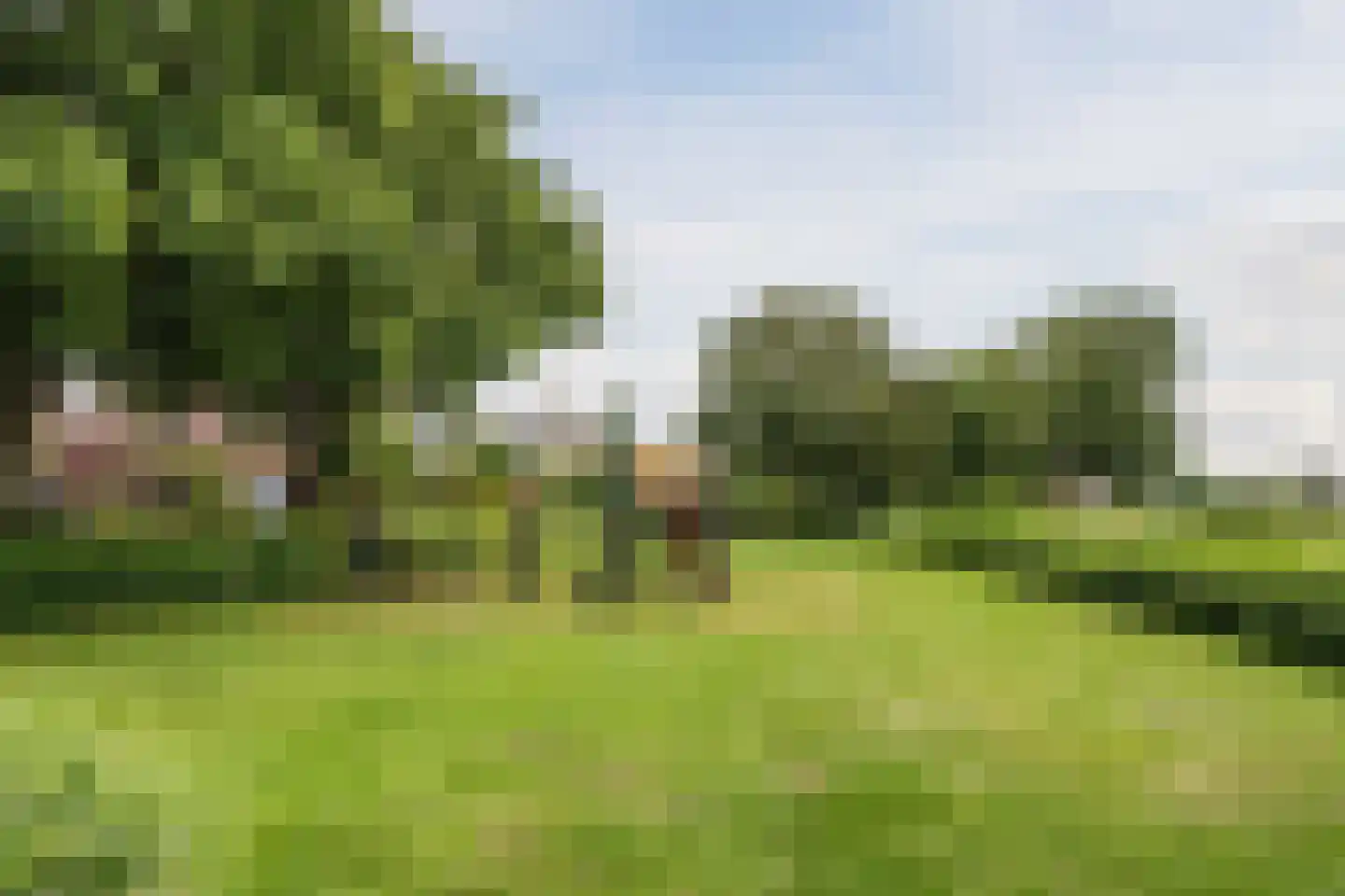 Kempenaar 29 Wijk bij Duurstede thumbnail 62