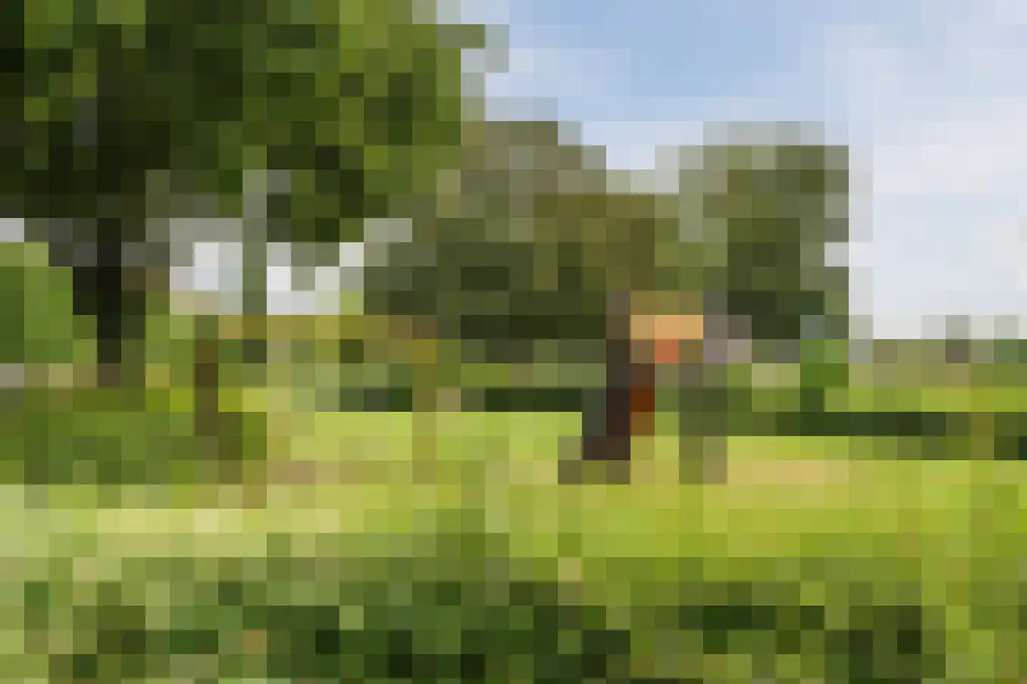 Kempenaar 29 Wijk bij Duurstede thumbnail 63