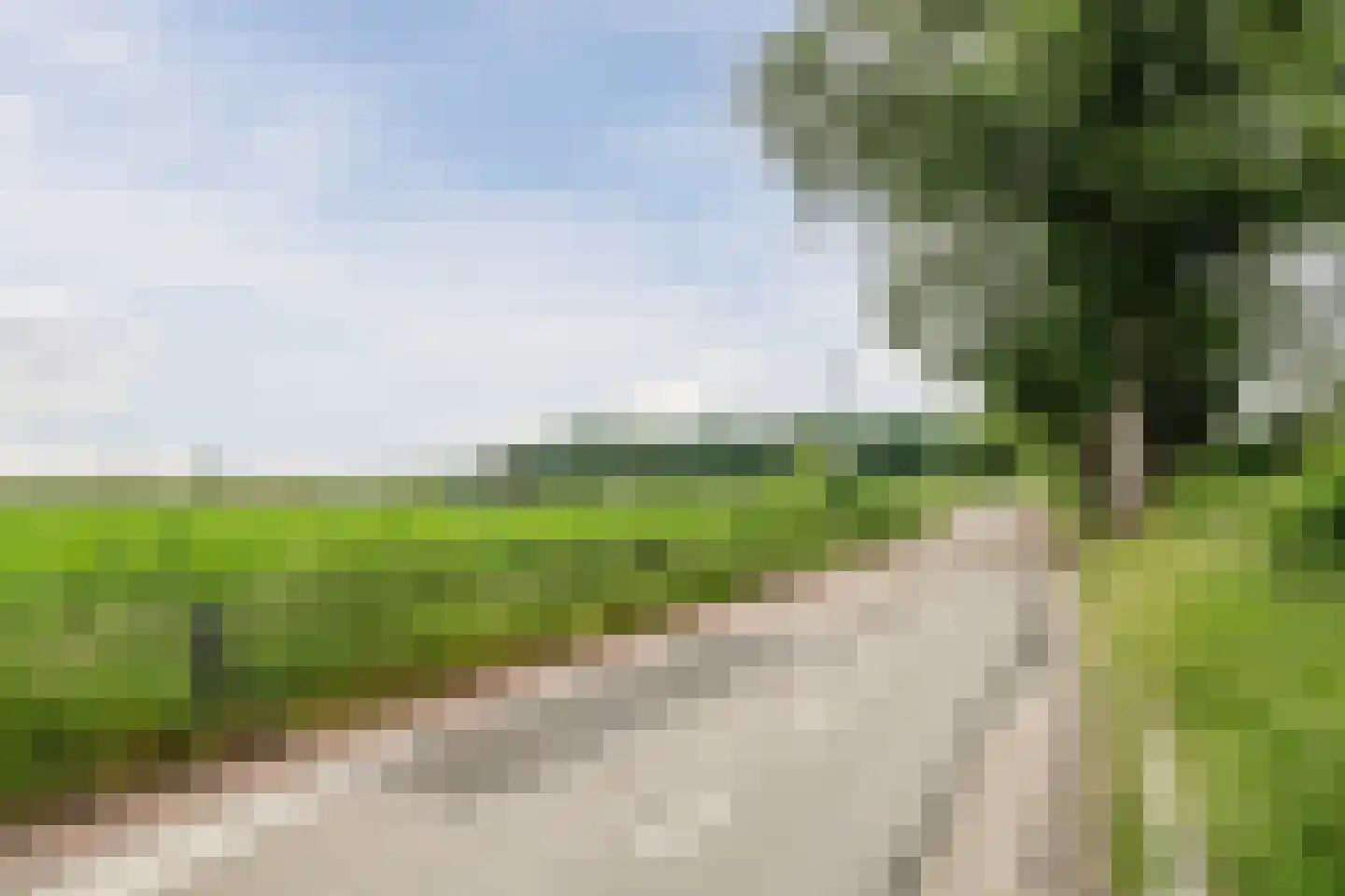 Kempenaar 29 Wijk bij Duurstede thumbnail 64