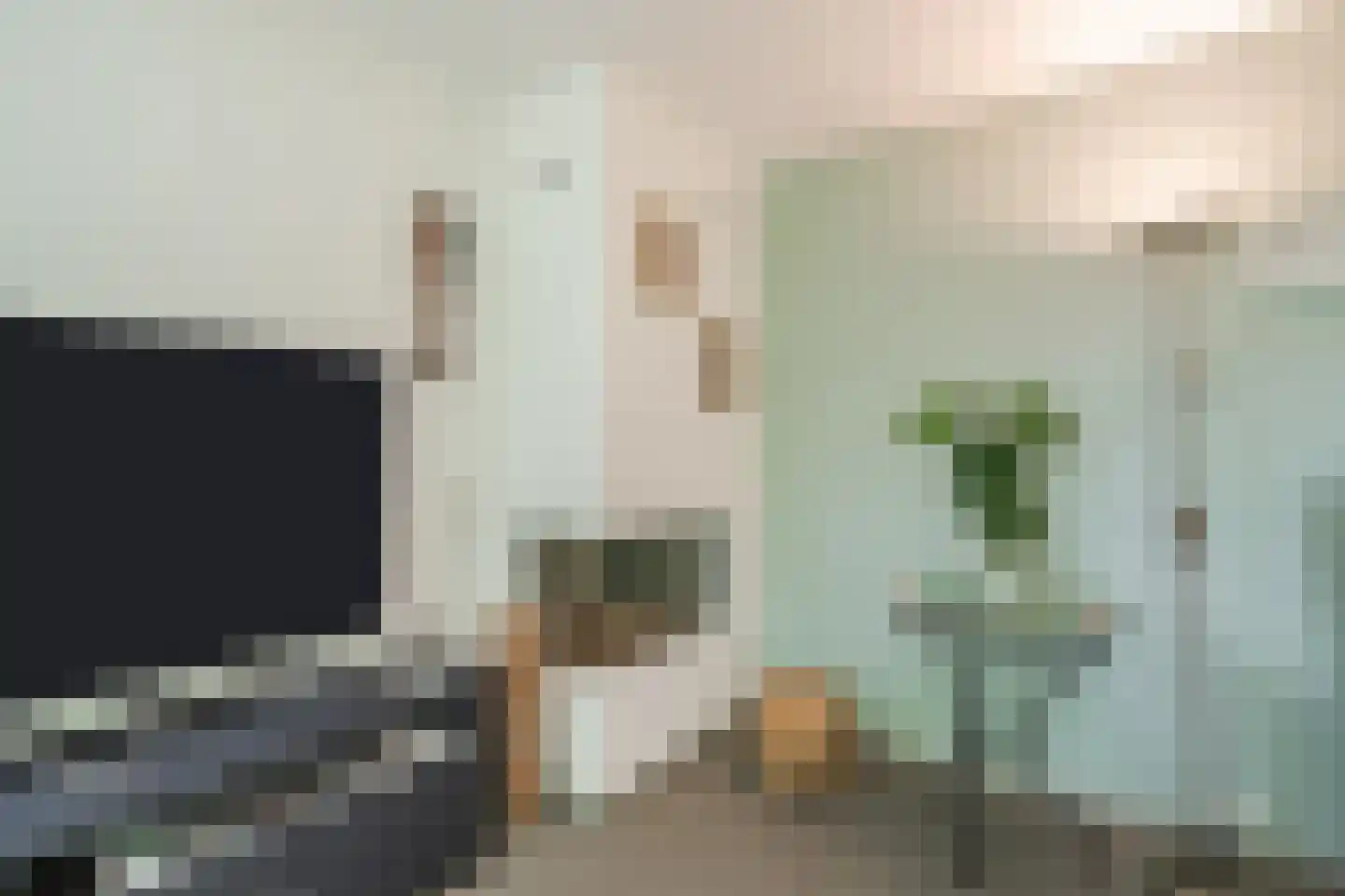 Kempenaar 29 Wijk bij Duurstede thumbnail 8