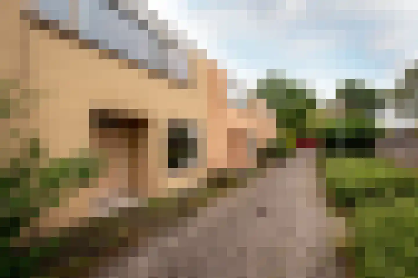 Kempenaar 30 5 Lelystad thumbnail 34
