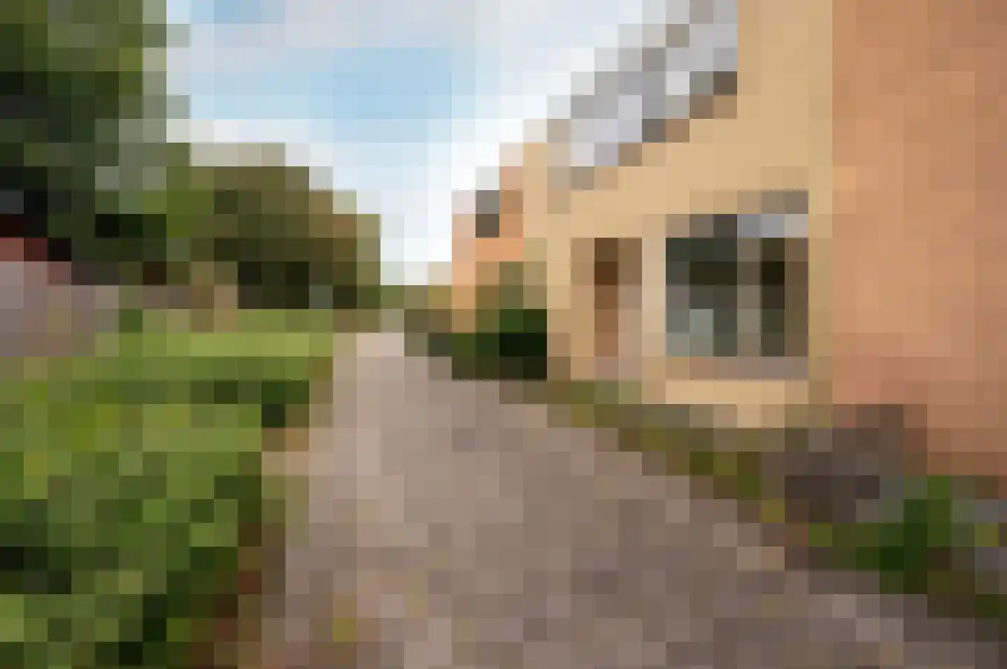 Kempenaar 30 5 Lelystad thumbnail 35