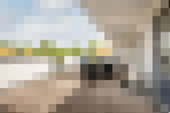Kempenaar 30 65 Lelystad thumbnail 42