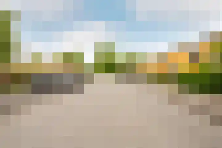 Kempenaar 30 65 Lelystad thumbnail 50