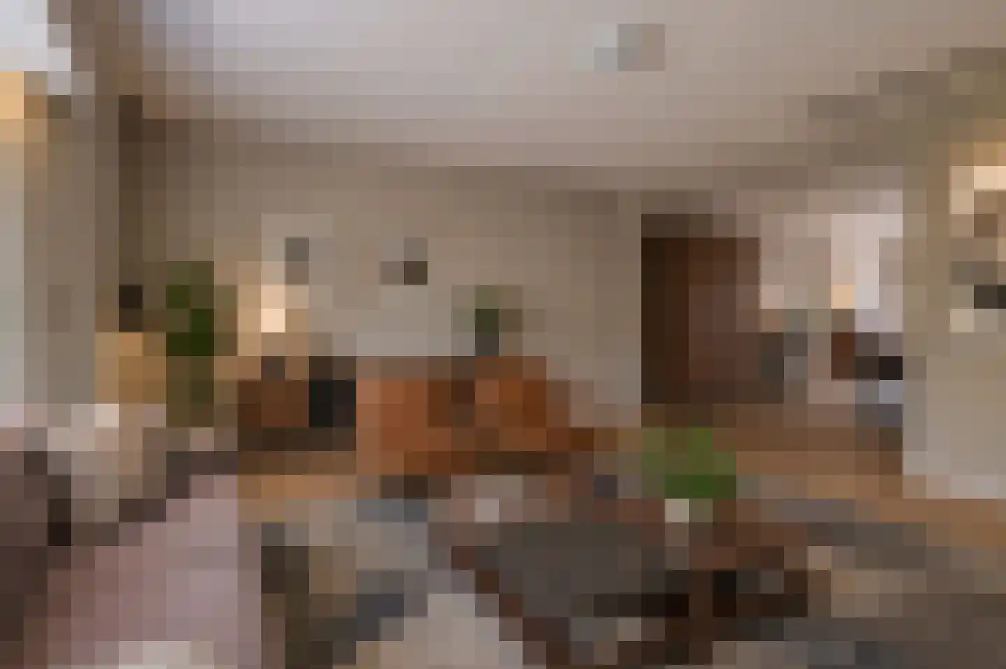 Kempenaar 35 Wijk bij Duurstede thumbnail 11