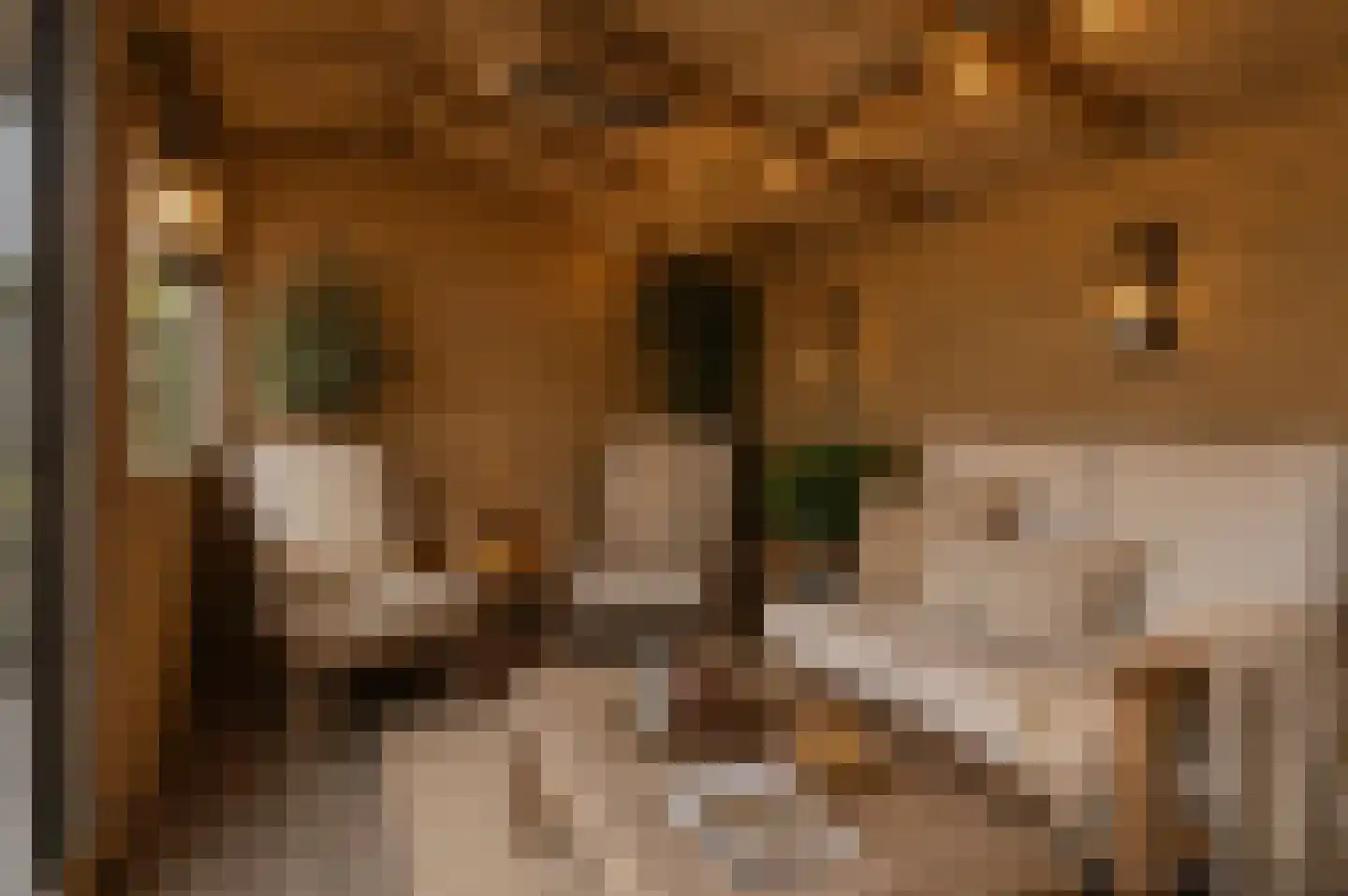 Kempenaar 35 Wijk bij Duurstede thumbnail 25