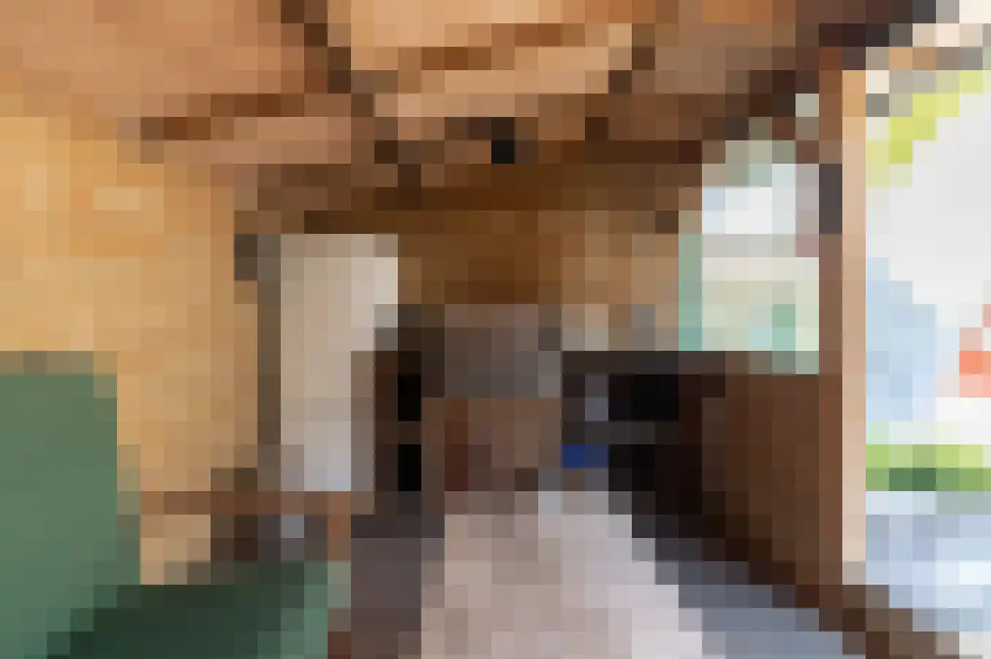 Kempenaar 35 Wijk bij Duurstede thumbnail 26