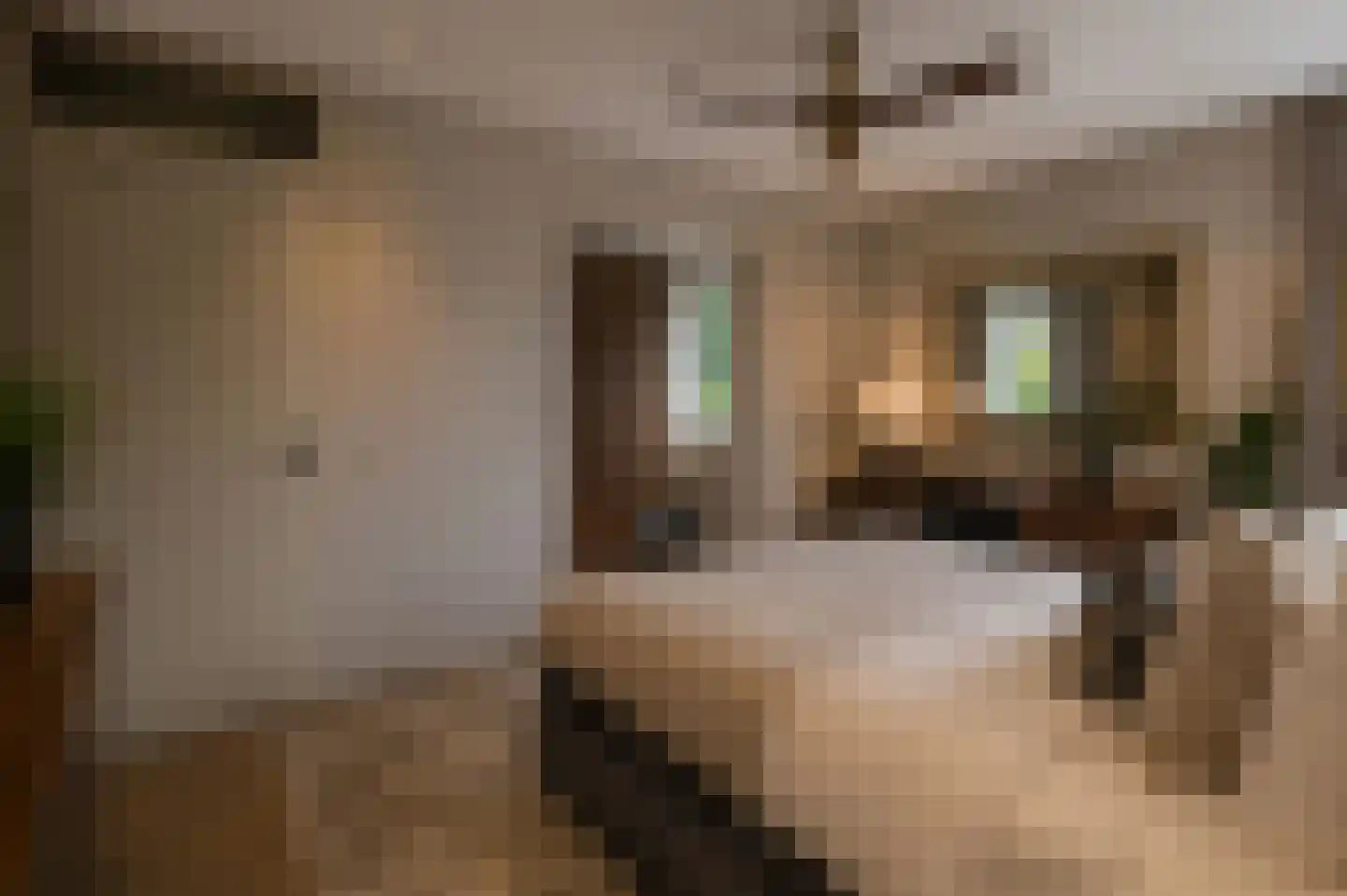 Kempenaar 35 Wijk bij Duurstede thumbnail 32