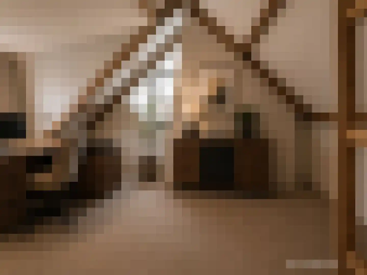 Kempenaar 35 Wijk bij Duurstede thumbnail 45