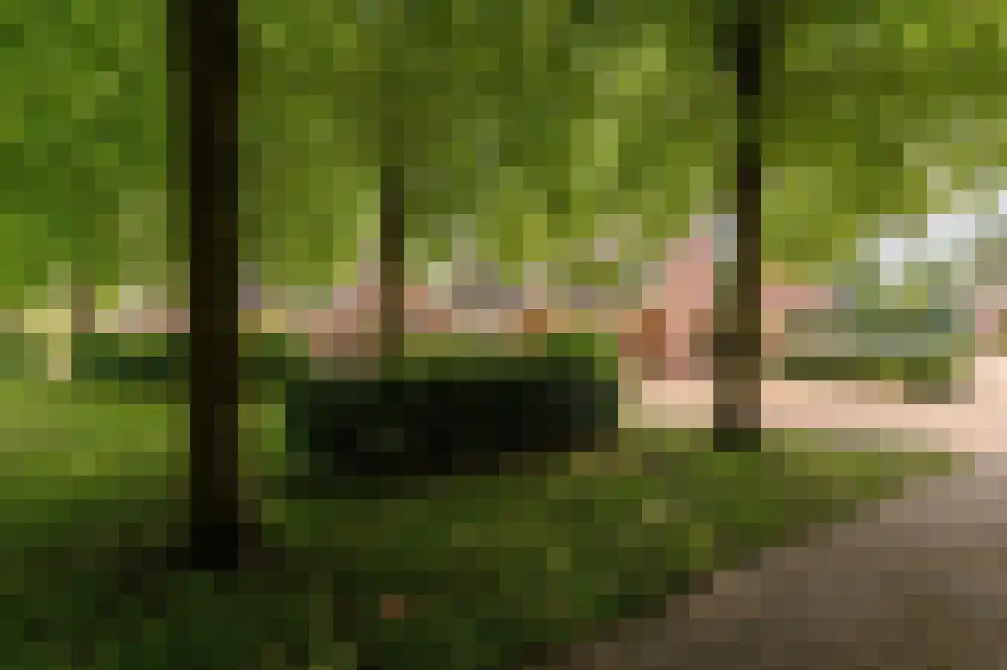 Kempenaar 35 Wijk bij Duurstede thumbnail 46
