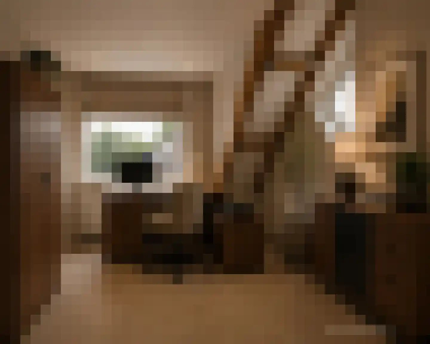 Kempenaar 35 Wijk bij Duurstede thumbnail 47