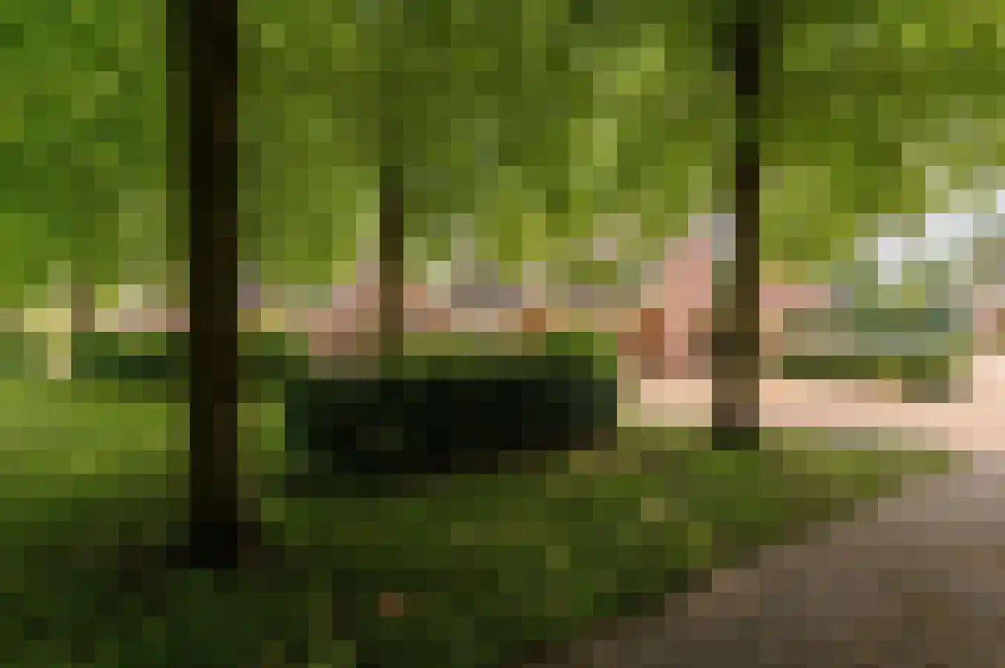 Kempenaar 35 Wijk bij Duurstede thumbnail 52