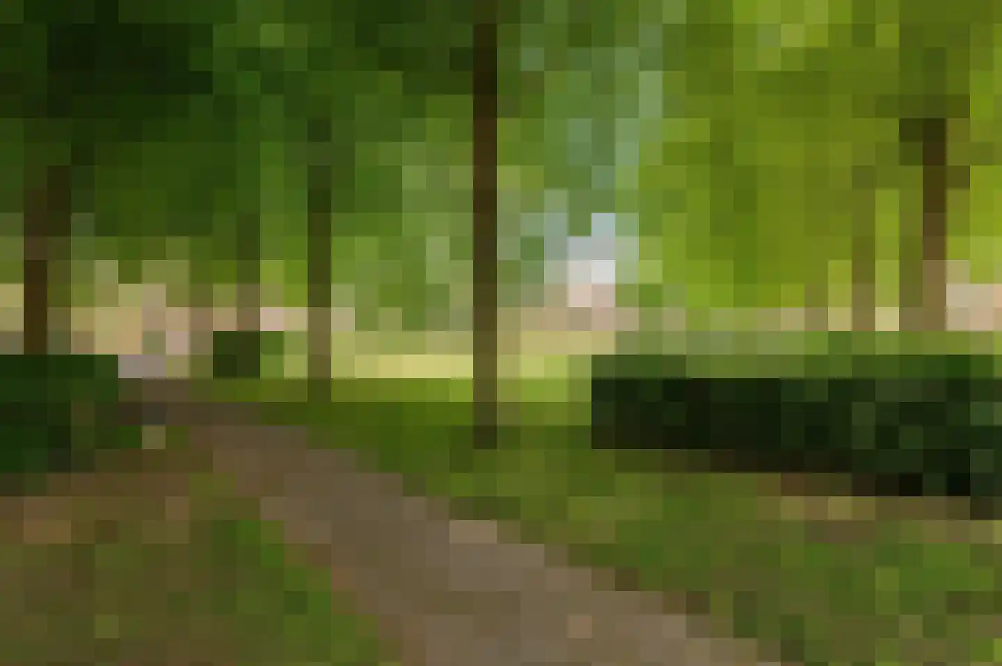 Kempenaar 35 Wijk bij Duurstede thumbnail 53