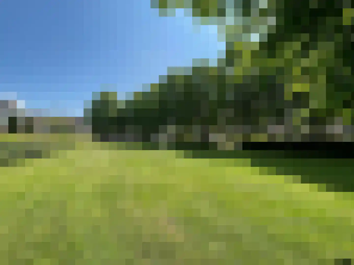 Kempenaar 35 Wijk bij Duurstede thumbnail 56