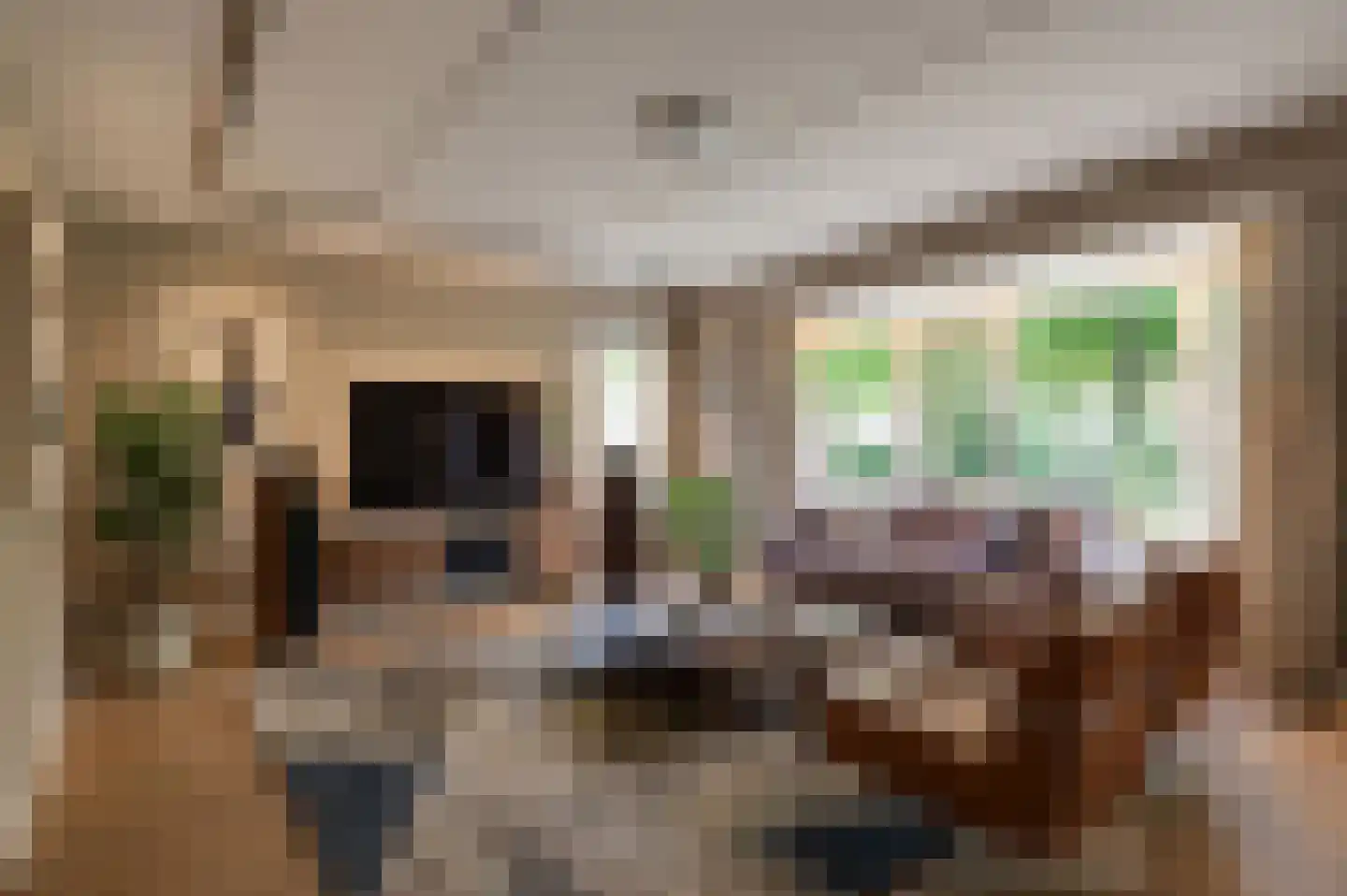 Kempenaar 35 Wijk bij Duurstede thumbnail 8