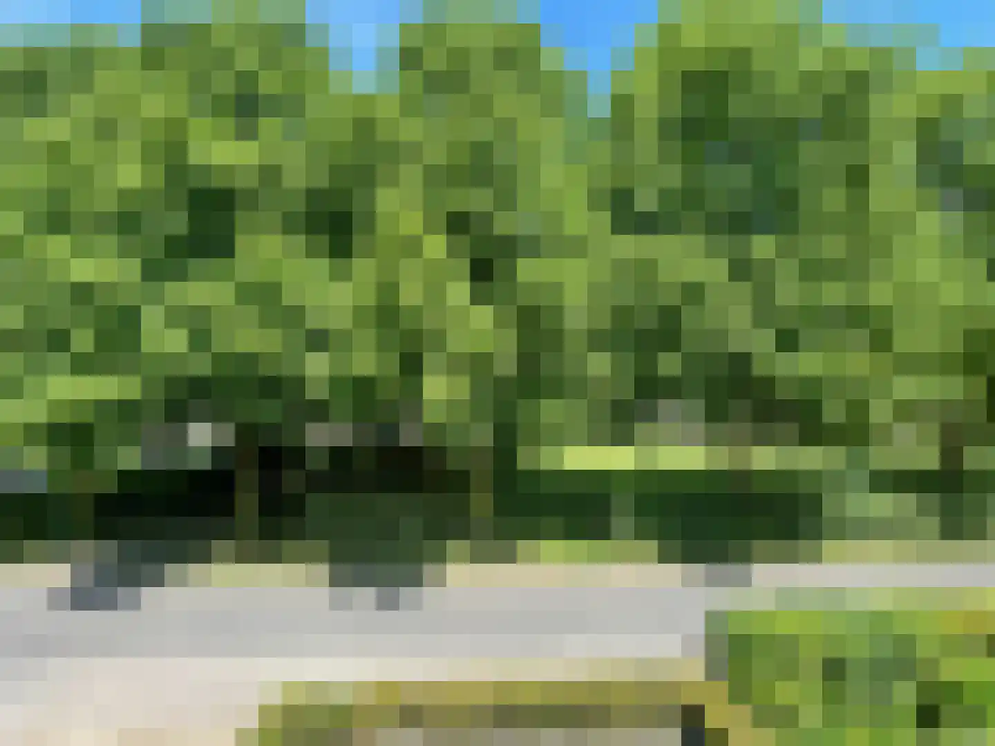 Kempenaar 35 Wijk bij Duurstede thumbnail 9