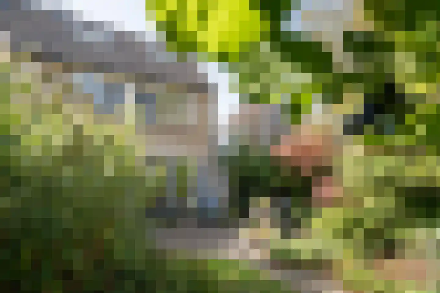 Kempenaar 41 Barendrecht thumbnail 4