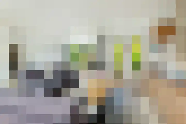 Kempenaar 7 Barendrecht thumbnail 19