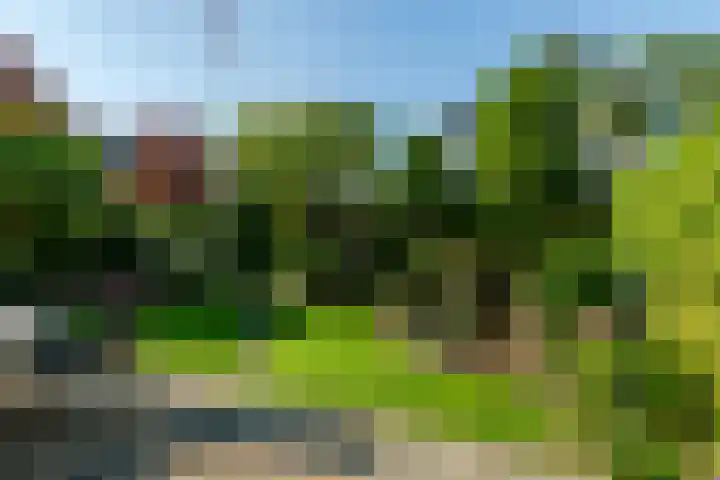 Kempenaar 7 Barendrecht thumbnail 39