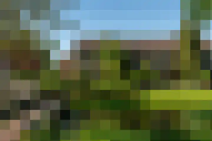 Kempenaar 7 Barendrecht thumbnail 8