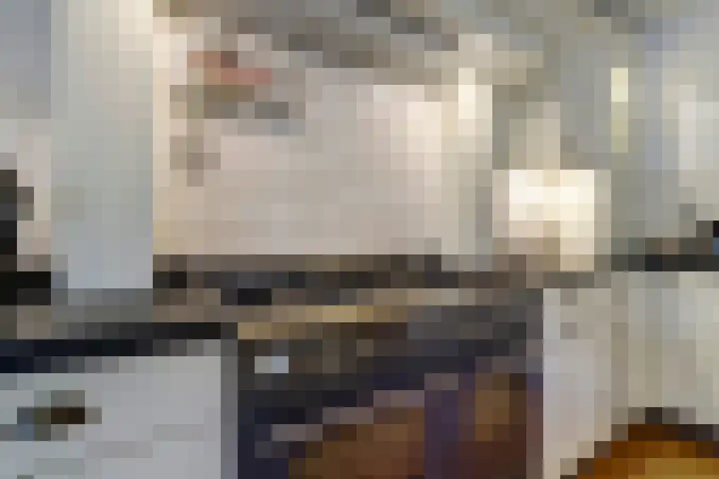 Kempenaar 72 Wijk bij Duurstede thumbnail 15
