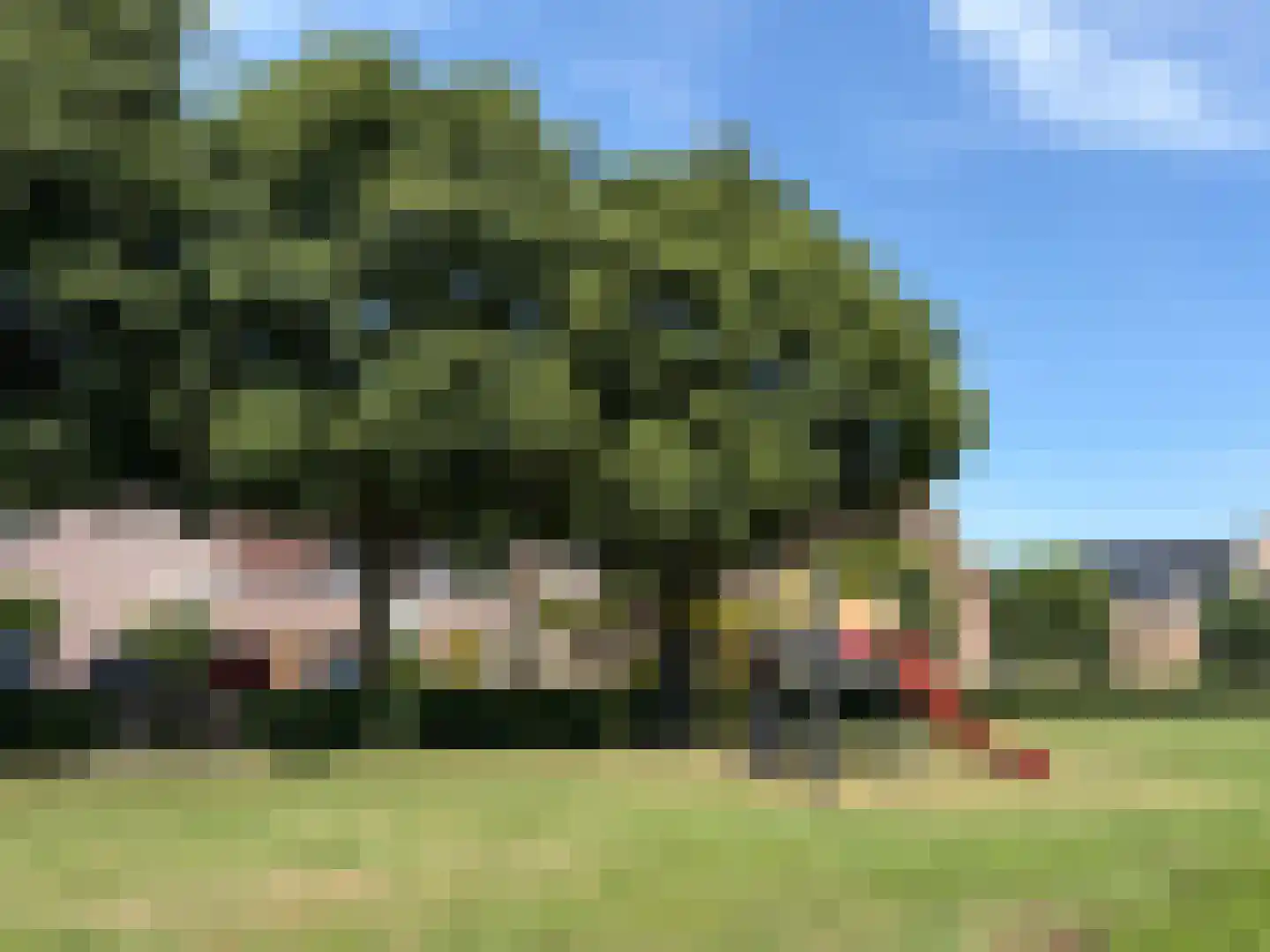 Kempenaar 72 Wijk bij Duurstede thumbnail 41
