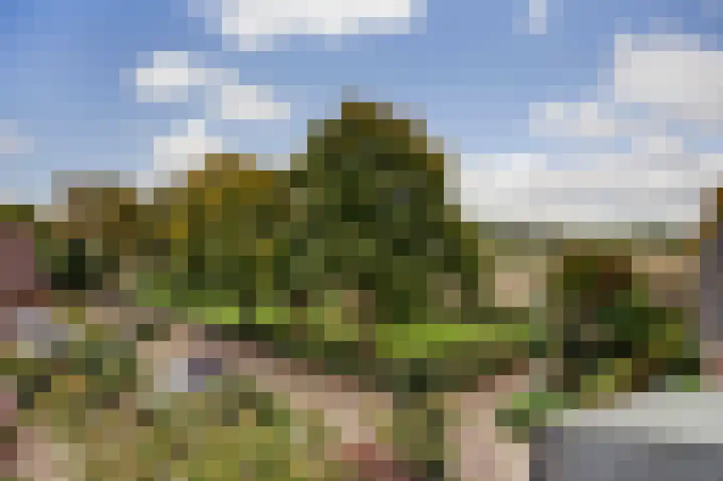 Kempenaar 72 Wijk bij Duurstede thumbnail 42