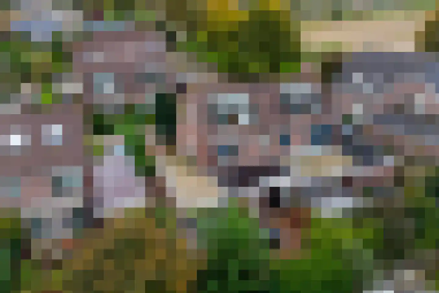 Kempenaar 72 Wijk bij Duurstede thumbnail 46