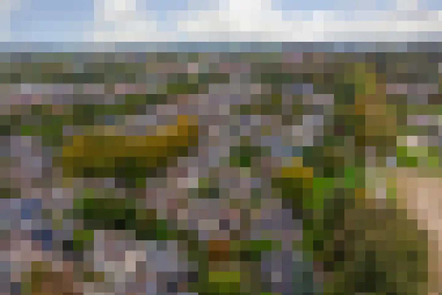 Kempenaar 72 Wijk bij Duurstede thumbnail 49