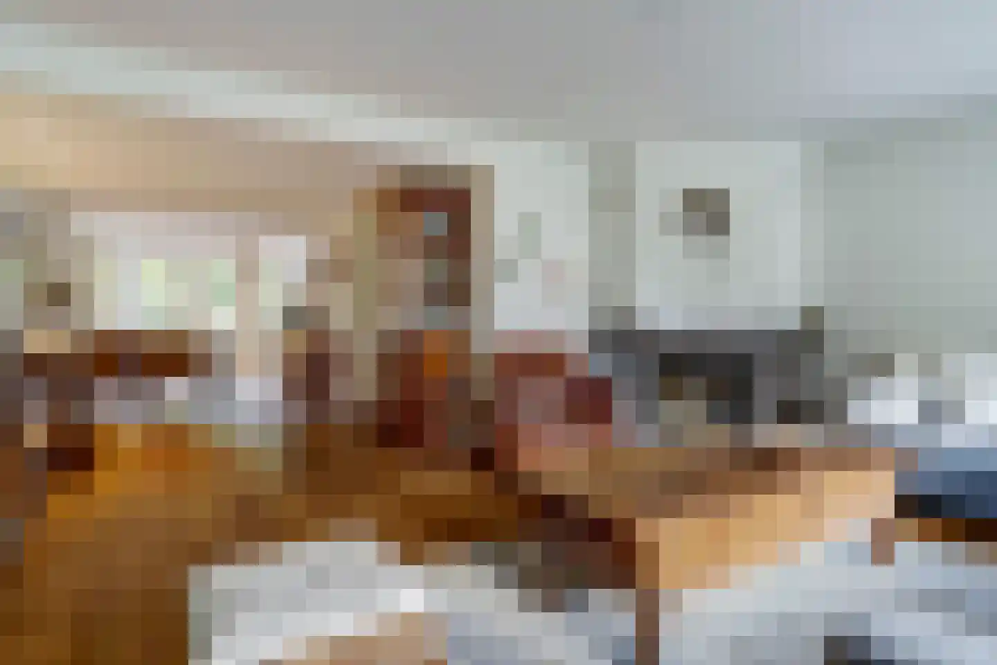 Kempenaar 72 Wijk bij Duurstede thumbnail 9