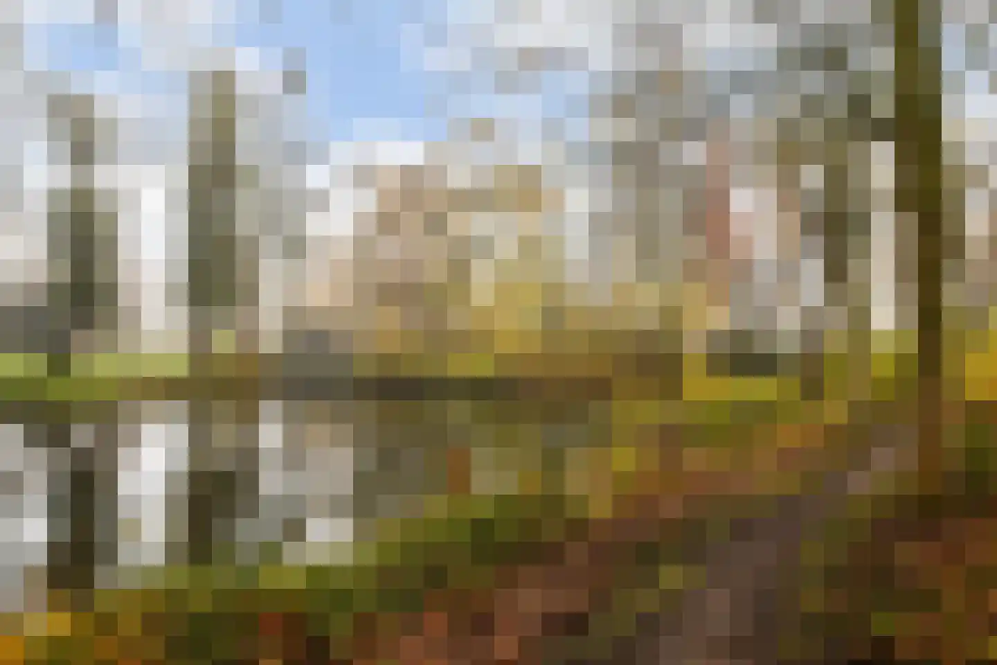 Kempenaar 80 Barendrecht thumbnail 37