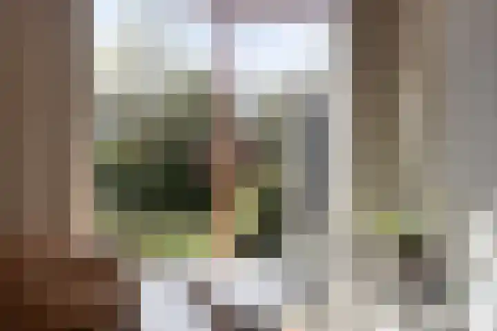Kempenaar 89 Barendrecht thumbnail 15