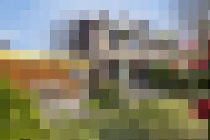Kempenaar 89 Barendrecht thumbnail 39