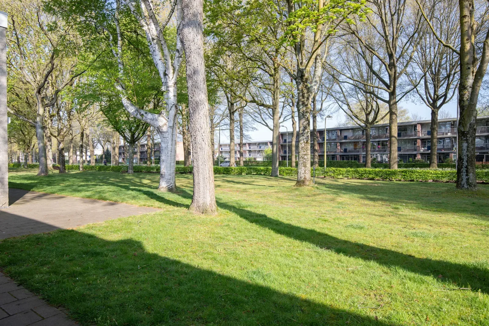 Team photo of Kempenburg Makelaardij Tilburg