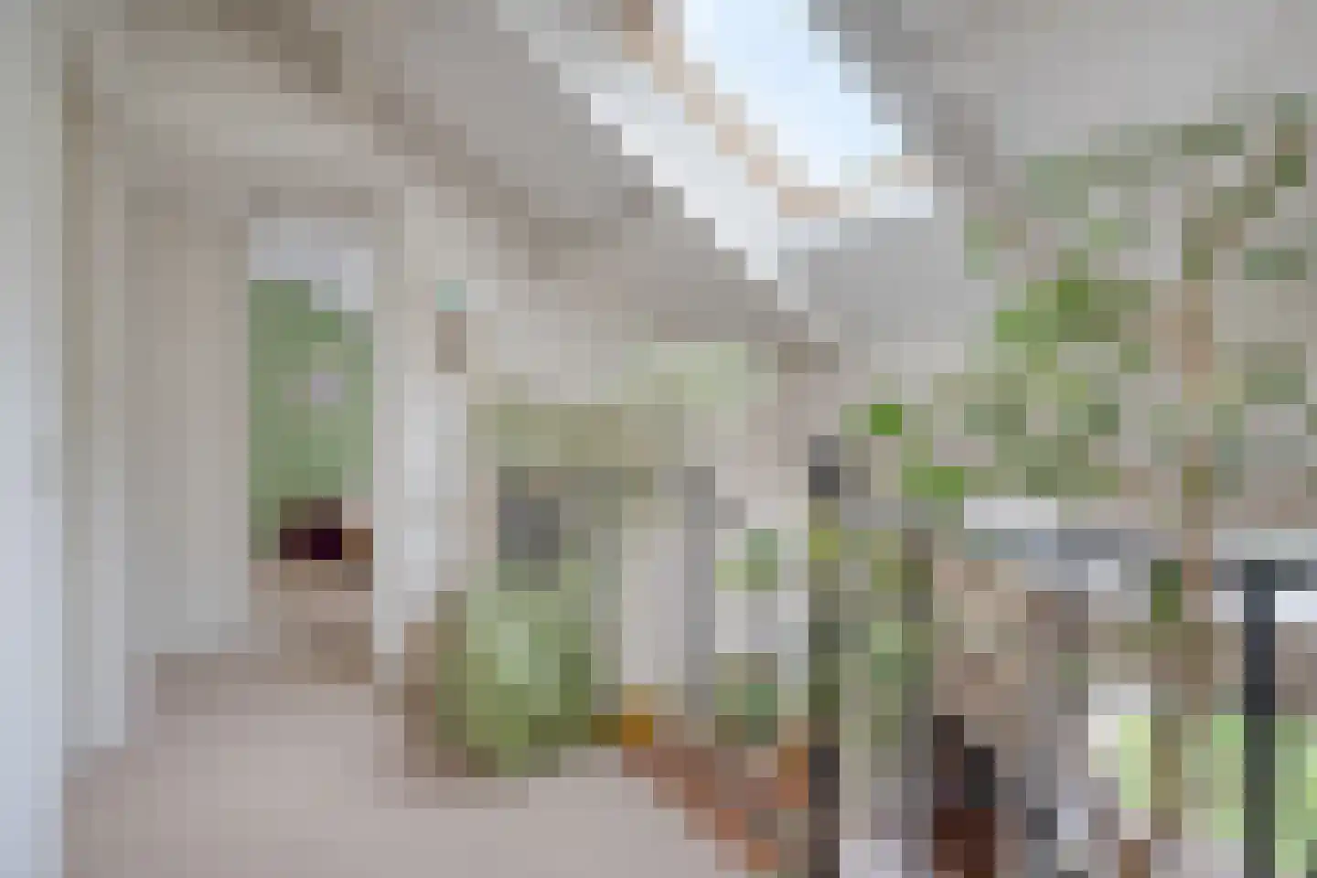 Kempenhoeven 28 Rosmalen thumbnail 30