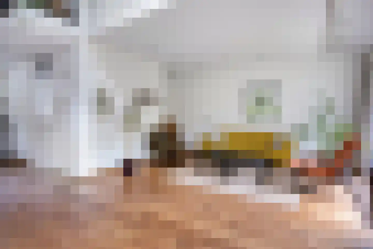 Kempenhoeven 28 Rosmalen thumbnail 8