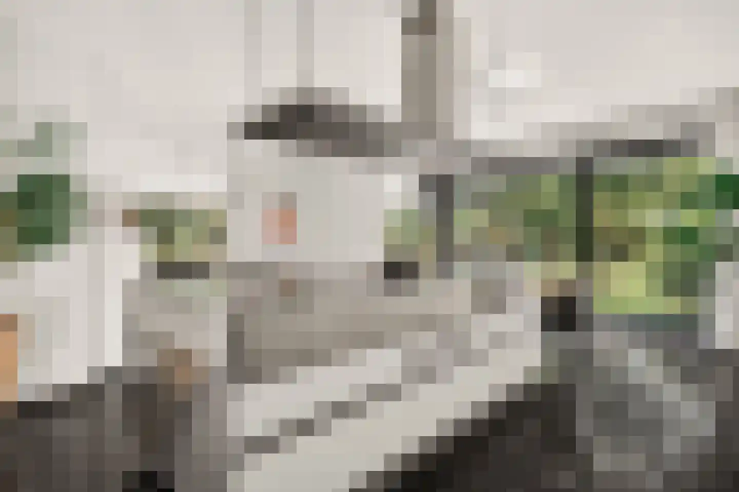 Kempenhorst 12 Waalre thumbnail 14