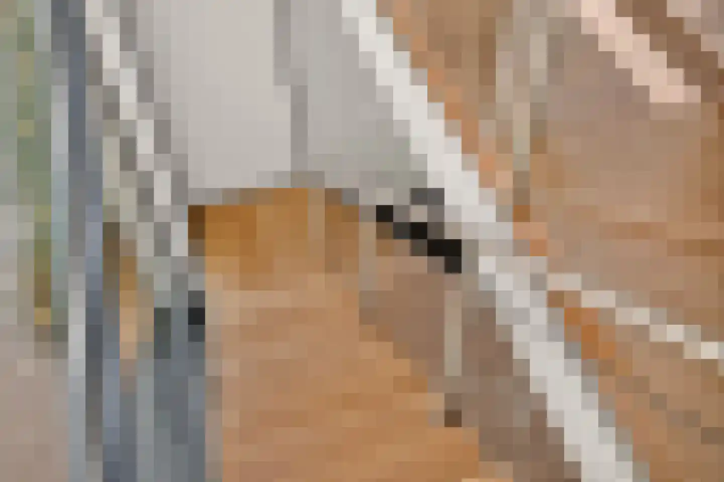 Kempenhorst 12 Waalre thumbnail 20