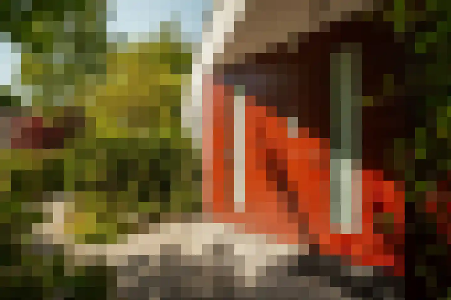 Kempenhorst 12 Waalre thumbnail 36