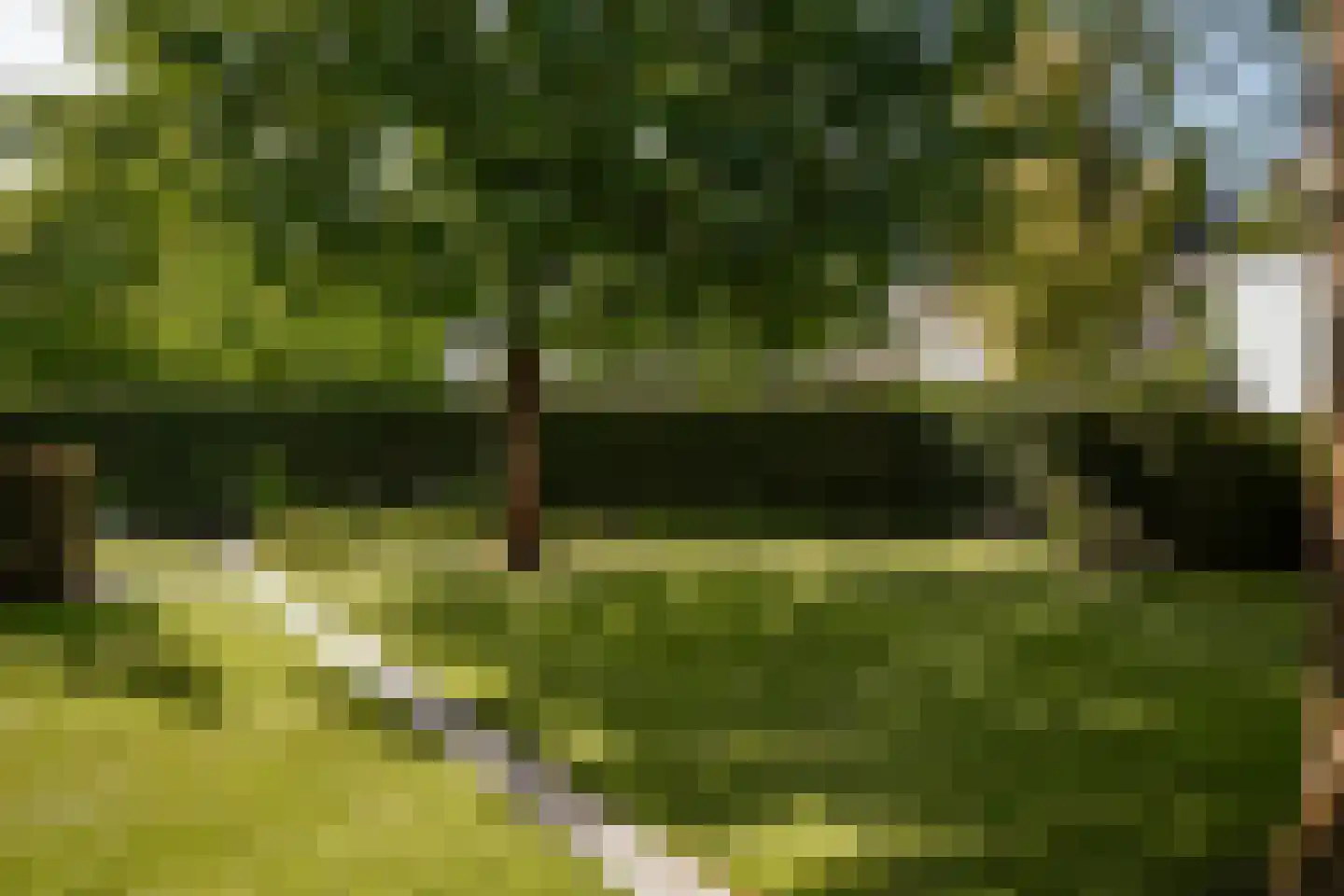 Kempenhorst 12 Waalre thumbnail 58