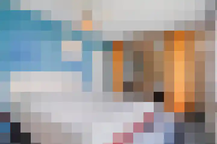 Kempenlaan 11 Son en Breugel thumbnail 20