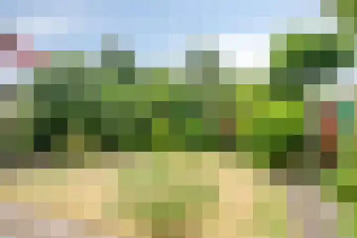 Kempenlaan 11 Son en Breugel thumbnail 34