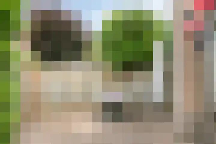 Kempenlaan 11 Son en Breugel thumbnail 35