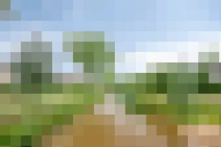 Kempenlaan 11 Son en Breugel thumbnail 41
