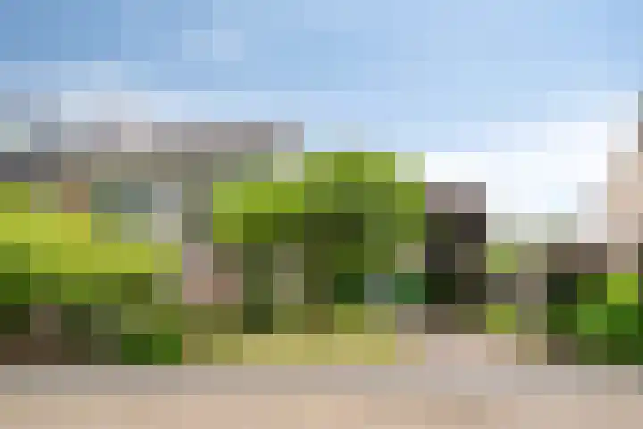 Kempenlaan 11 Son en Breugel thumbnail 48